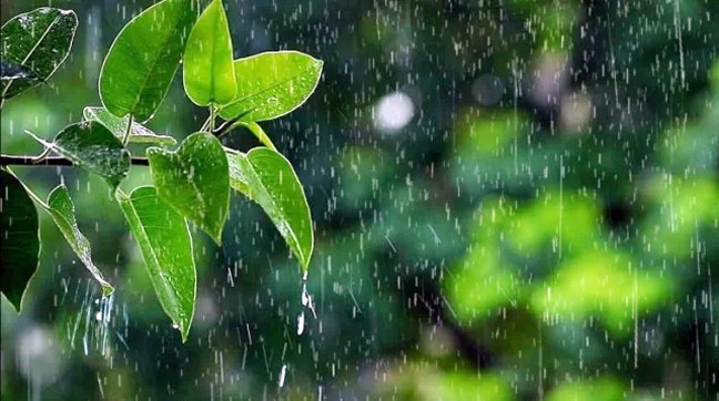 সারা দেশে টানা ৫ দিন বজ্রবৃষ্টির আভাস